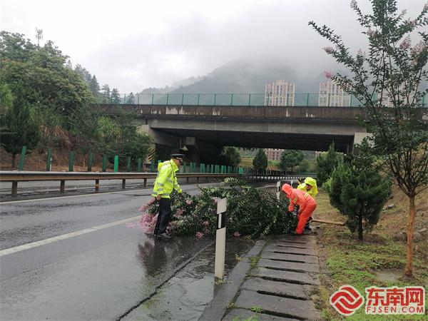 處置樹(shù)木倒伏.jpg 處置樹(shù)木倒伏.jpg